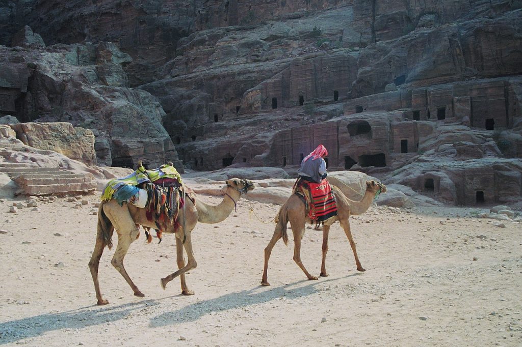 bedouin, dromedaries, petra-174182.jpg